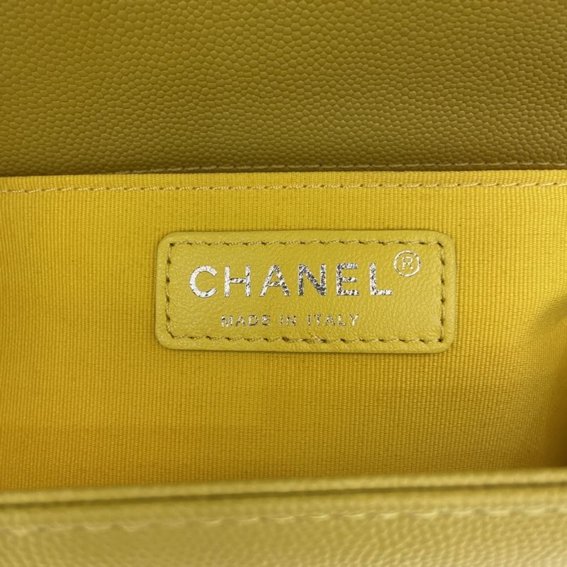 Chanel Leboy Series Bags